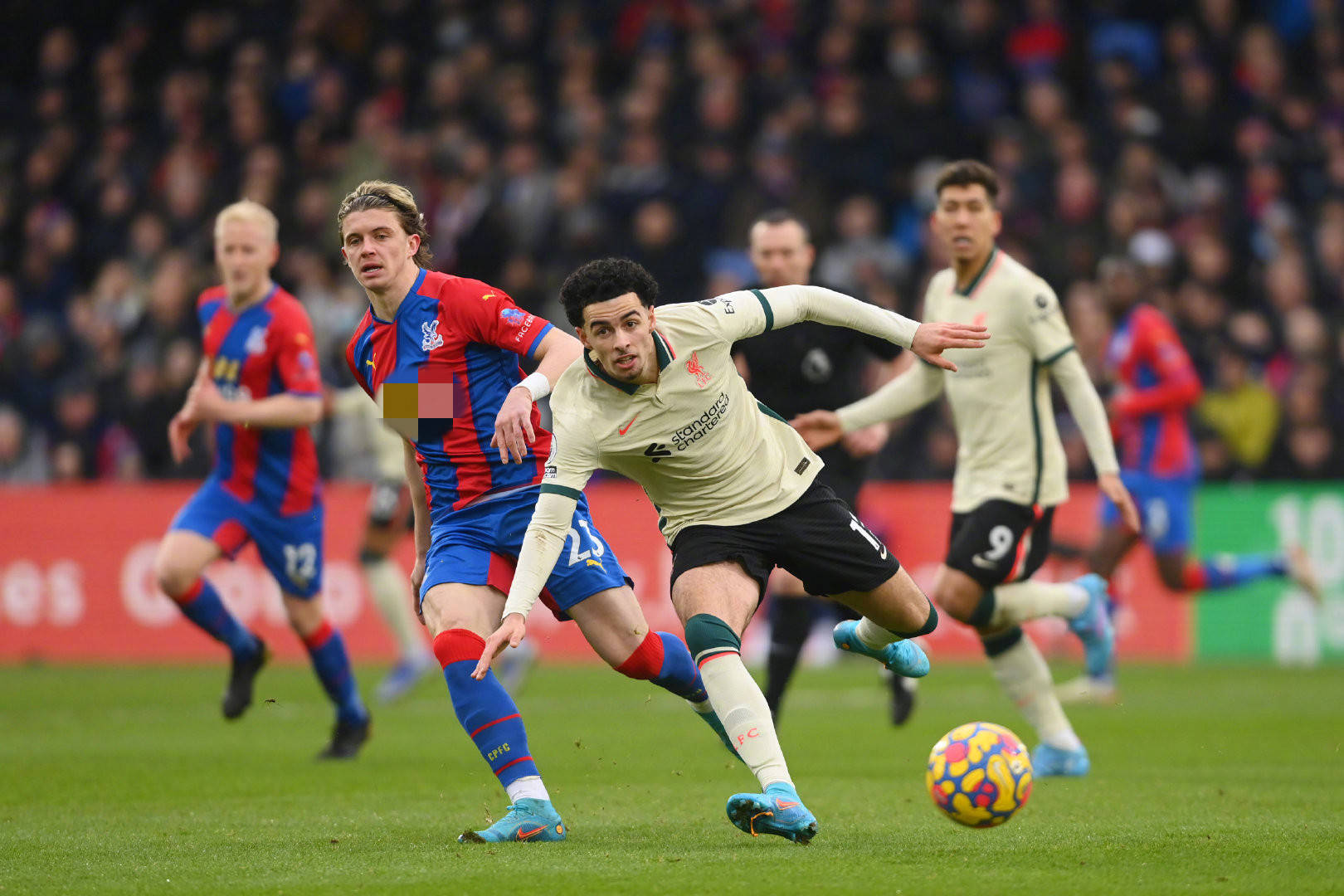 到贝林厄姆 到贝林厄姆